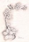 cherry blossom branch tattoo